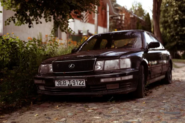 윈페스트 카지노 안드로이드/iOS 앱